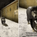 Video Shows ‘Snow Dog’ Not Entirely Pleased With the Snowfall