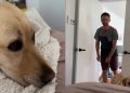 Sweet Video Shows Dog Patiently Waiting for Dad To Tuck Him in for a Nap